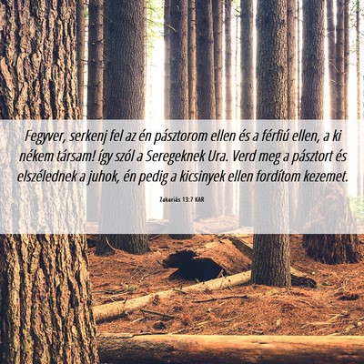 Picture 06 - Zakariás 13:7 KAR - Fegyver, serkenj fel az én pásztorom ellen és - Bible Verse Picture