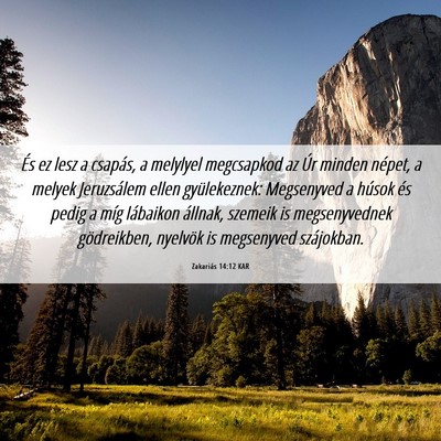 Picture 06 - Zakariás 14:12 KAR - És ez lesz a csapás, a melylyel megcsapkod az - Bible Verse Picture