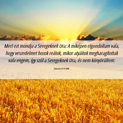 Picture 06 - Zakariás 8:14 KAR - Mert ezt mondja a Seregeknek Ura: A miképen - Bible Verse Picture