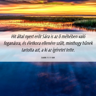 Picture 06 - Zsidók 11:11 KAR - Hit által nyert erõt Sára is az õ méhében - Bible Verse Picture