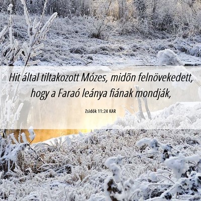 Picture 06 - Zsidók 11:24 KAR - Hit által tiltakozott Mózes, midõn - Bible Verse Picture