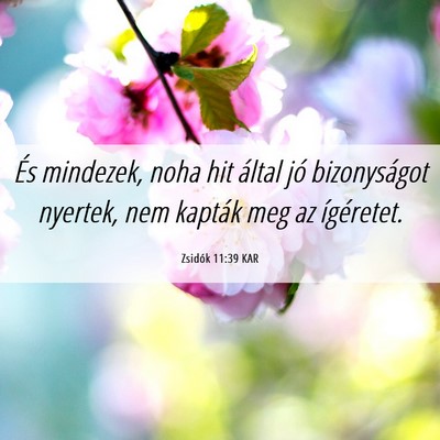 Picture 06 - Zsidók 11:39 KAR - És mindezek, noha hit által jó bizonyságot - Bible Verse Picture