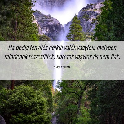 Picture 06 - Zsidók 12:8 KAR - Ha pedig fenyítés nélkül valók vagytok, - Bible Verse Picture