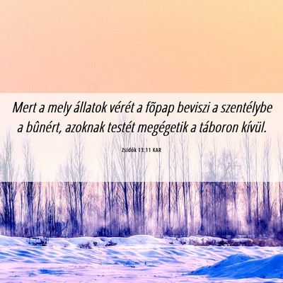 Picture 06 - Zsidók 13:11 KAR - Mert a mely állatok vérét a fõpap beviszi a - Bible Verse Picture
