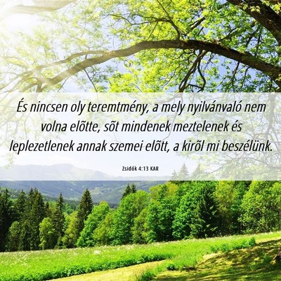 Picture 06 - Zsidók 4:13 KAR - És nincsen oly teremtmény, a mely nyilvánvaló - Bible Verse Picture