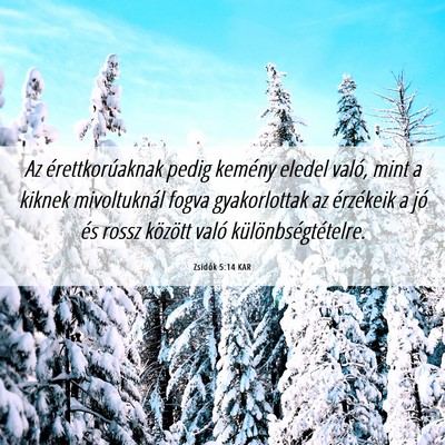 Picture 06 - Zsidók 5:14 KAR - Az érettkorúaknak pedig kemény eledel való, - Bible Verse Picture