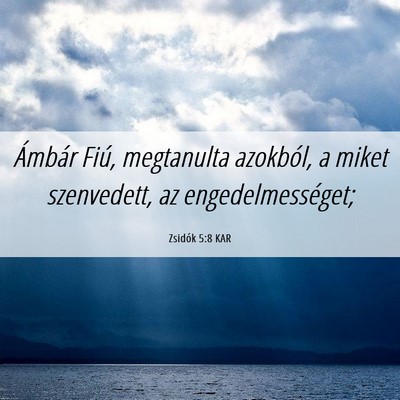 Picture 06 - Zsidók 5:8 KAR - Ámbár Fiú, megtanulta azokból, a miket - Bible Verse Picture