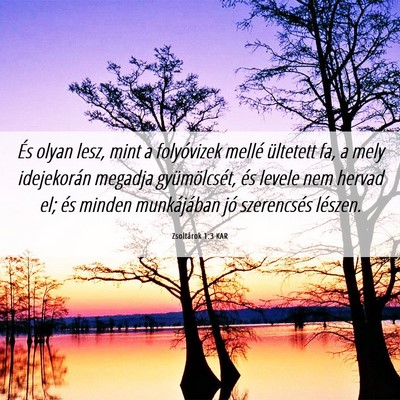 Picture 06 - Zsoltárok 1:3 KAR - És olyan lesz, mint a folyóvizek mellé - Bible Verse Picture