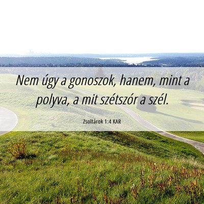 Picture 06 - Zsoltárok 1:4 KAR - Nem úgy a gonoszok, hanem, mint a polyva, a mit - Bible Verse Picture