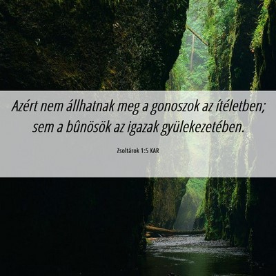 Picture 06 - Zsoltárok 1:5 KAR - Azért nem állhatnak meg a gonoszok az - Bible Verse Picture