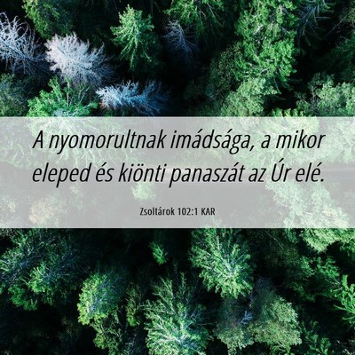 Picture 06 - Zsoltárok 102:1 KAR - A nyomorultnak imádsága, a mikor eleped és - Bible Verse Picture