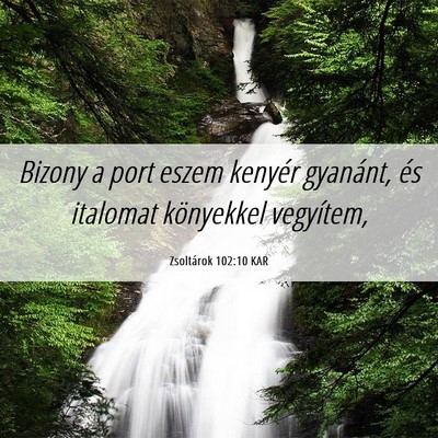 Picture 06 - Zsoltárok 102:10 KAR - Bizony a port eszem kenyér gyanánt, és - Bible Verse Picture