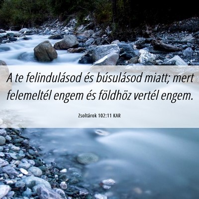 Picture 06 - Zsoltárok 102:11 KAR - A te felindulásod és búsulásod miatt; mert - Bible Verse Picture