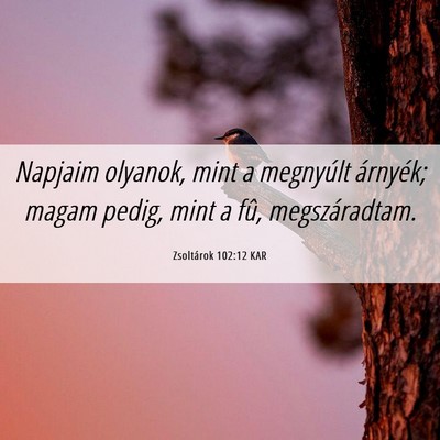 Picture 06 - Zsoltárok 102:12 KAR - Napjaim olyanok, mint a megnyúlt árnyék; magam - Bible Verse Picture