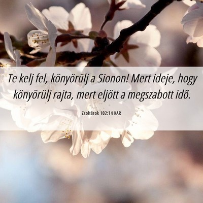 Picture 06 - Zsoltárok 102:14 KAR - Te kelj fel, könyörülj a Sionon! Mert ideje, - Bible Verse Picture