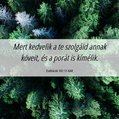 Picture 06 - Zsoltárok 102:15 KAR - Mert kedvelik a te szolgáid annak köveit, és a - Bible Verse Picture