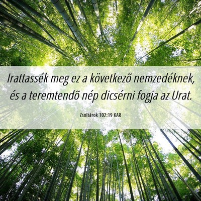 Picture 06 - Zsoltárok 102:19 KAR - Irattassék meg ez a következõ nemzedéknek, - Bible Verse Picture