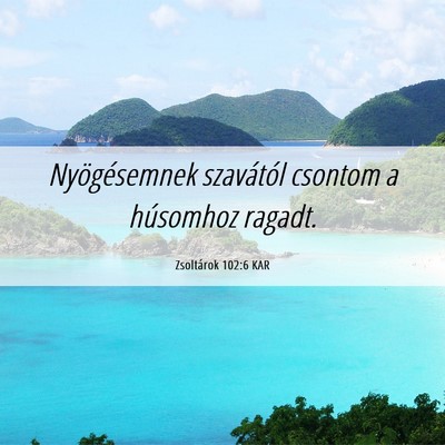 Picture 06 - Zsoltárok 102:6 KAR - Nyögésemnek szavától csontom a húsomhoz - Bible Verse Picture
