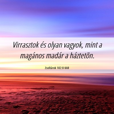 Picture 06 - Zsoltárok 102:8 KAR - Virrasztok és olyan vagyok, mint a magános - Bible Verse Picture