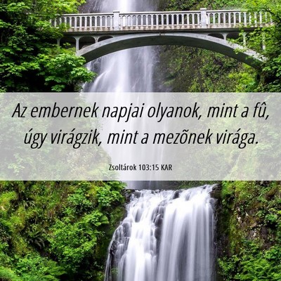 Picture 06 - Zsoltárok 103:15 KAR - Az embernek napjai olyanok, mint a fû, úgy - Bible Verse Picture