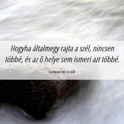 Picture 06 - Zsoltárok 103:16 KAR - Hogyha általmegy rajta a szél, nincsen többé, - Bible Verse Picture