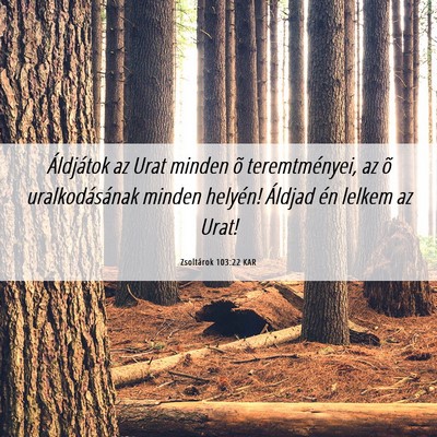 Picture 06 - Zsoltárok 103:22 KAR - Áldjátok az Urat minden õ teremtményei, az õ - Bible Verse Picture