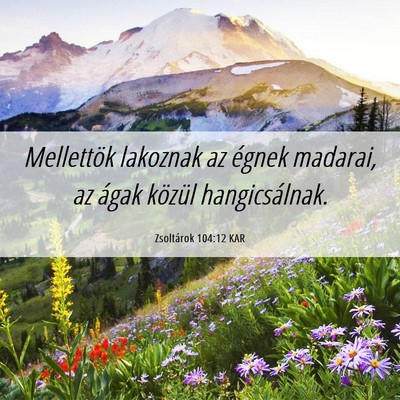 Picture 06 - Zsoltárok 104:12 KAR - Mellettök lakoznak az égnek madarai, az ágak - Bible Verse Picture