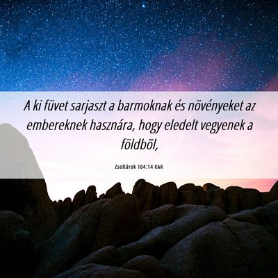 Picture 06 - Zsoltárok 104:14 KAR - A ki füvet sarjaszt a barmoknak és növényeket - Bible Verse Picture