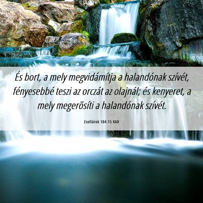 Picture 06 - Zsoltárok 104:15 KAR - És bort, a mely megvidámítja a halandónak - Bible Verse Picture
