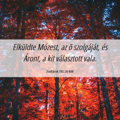 Picture 06 - Zsoltárok 105:26 KAR - Elküldte Mózest, az õ szolgáját, és Áront, - Bible Verse Picture
