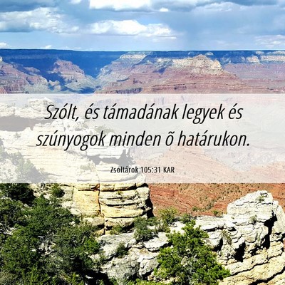 Picture 06 - Zsoltárok 105:31 KAR - Szólt, és támadának legyek és szúnyogok - Bible Verse Picture