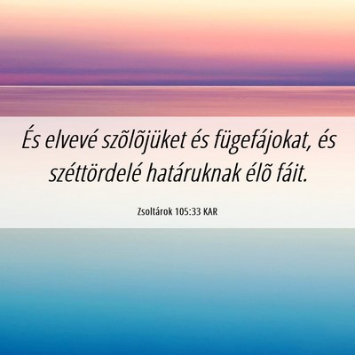 Picture 06 - Zsoltárok 105:33 KAR - És elvevé szõlõjüket és fügefájokat, és - Bible Verse Picture