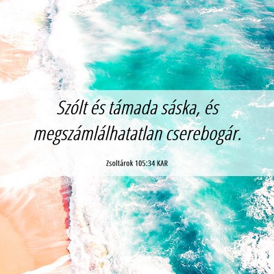 Picture 06 - Zsoltárok 105:34 KAR - Szólt és támada sáska, és - Bible Verse Picture