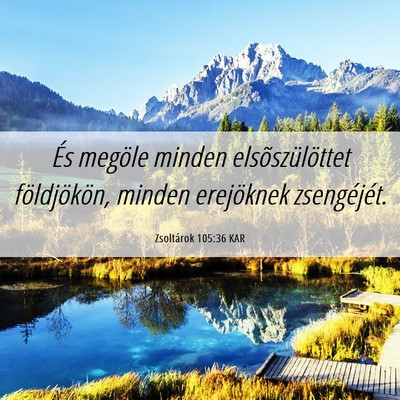 Picture 06 - Zsoltárok 105:36 KAR - És megöle minden elsõszülöttet földjökön, - Bible Verse Picture