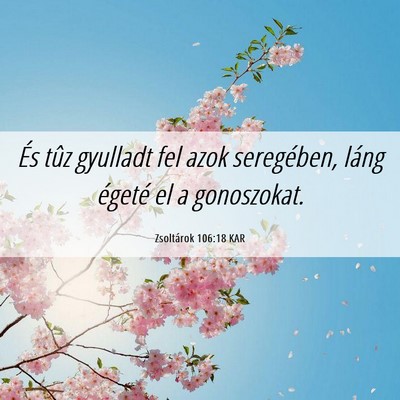 Picture 06 - Zsoltárok 106:18 KAR - És tûz gyulladt fel azok seregében, láng - Bible Verse Picture