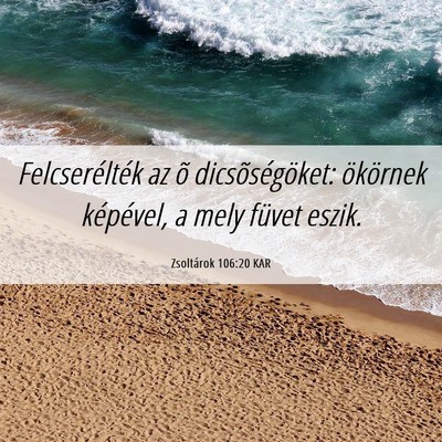Picture 06 - Zsoltárok 106:20 KAR - Felcserélték az õ dicsõségöket: ökörnek - Bible Verse Picture