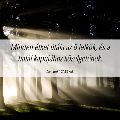 Picture 06 - Zsoltárok 107:18 KAR - Minden étket útála az õ lelkök, és a halál - Bible Verse Picture
