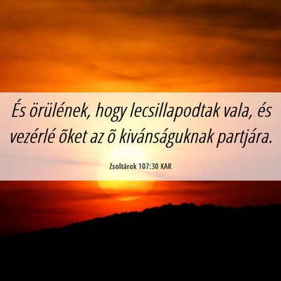 Picture 06 - Zsoltárok 107:30 KAR - És örülének, hogy lecsillapodtak vala, és - Bible Verse Picture