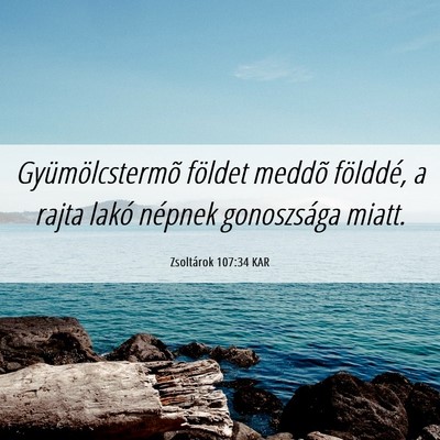Picture 06 - Zsoltárok 107:34 KAR - Gyümölcstermõ földet meddõ földdé, a rajta - Bible Verse Picture