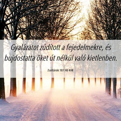 Picture 06 - Zsoltárok 107:40 KAR - Gyalázatot zúdított a fejedelmekre, és - Bible Verse Picture