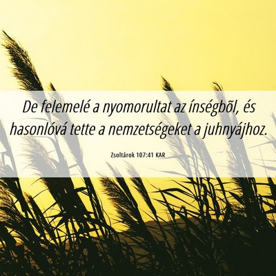 Picture 06 - Zsoltárok 107:41 KAR - De felemelé a nyomorultat az ínségbõl, és - Bible Verse Picture