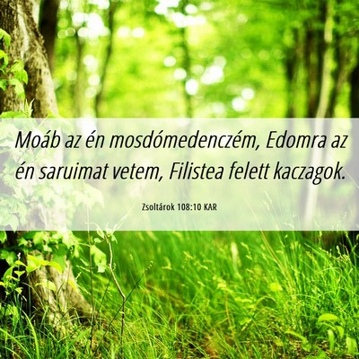 Picture 06 - Zsoltárok 108:10 KAR - Moáb az én mosdómedenczém, Edomra az én - Bible Verse Picture
