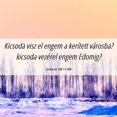 Picture 06 - Zsoltárok 108:11 KAR - Kicsoda visz el engem a kerített városba? - Bible Verse Picture