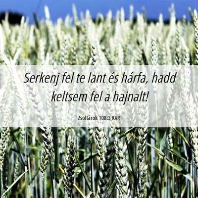 Picture 06 - Zsoltárok 108:3 KAR - Serkenj fel te lant és hárfa, hadd keltsem fel - Bible Verse Picture