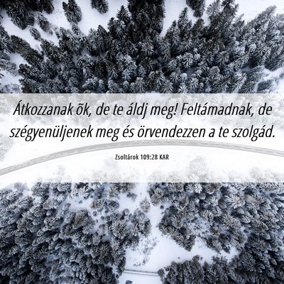 Picture 06 - Zsoltárok 109:28 KAR - Átkozzanak õk, de te áldj meg! Feltámadnak, - Bible Verse Picture