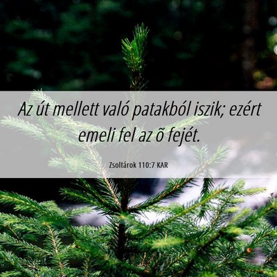 Picture 06 - Zsoltárok 110:7 KAR - Az út mellett való patakból iszik; ezért - Bible Verse Picture