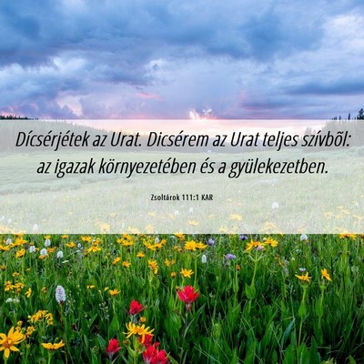 Picture 06 - Zsoltárok 111:1 KAR - Dícsérjétek az Urat. Dicsérem az Urat teljes - Bible Verse Picture