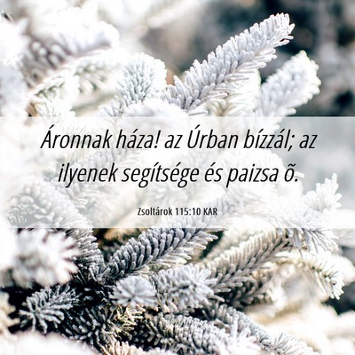 Picture 06 - Zsoltárok 115:10 KAR - Áronnak háza! az Úrban bízzál; az ilyenek - Bible Verse Picture