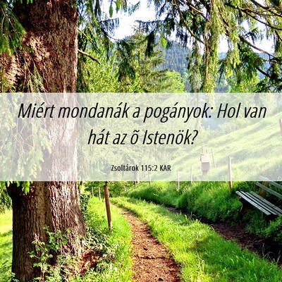 Picture 06 - Zsoltárok 115:2 KAR - Miért mondanák a pogányok: Hol van hát az õ - Bible Verse Picture