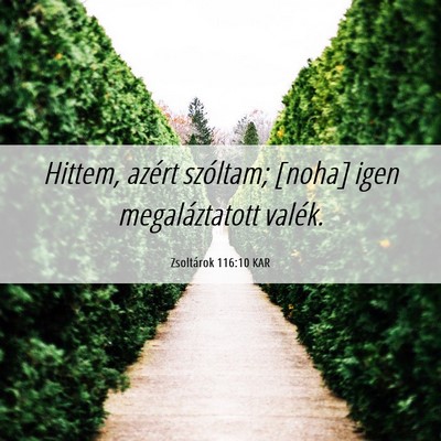 Picture 06 - Zsoltárok 116:10 KAR - Hittem, azért szóltam; [noha] igen - Bible Verse Picture